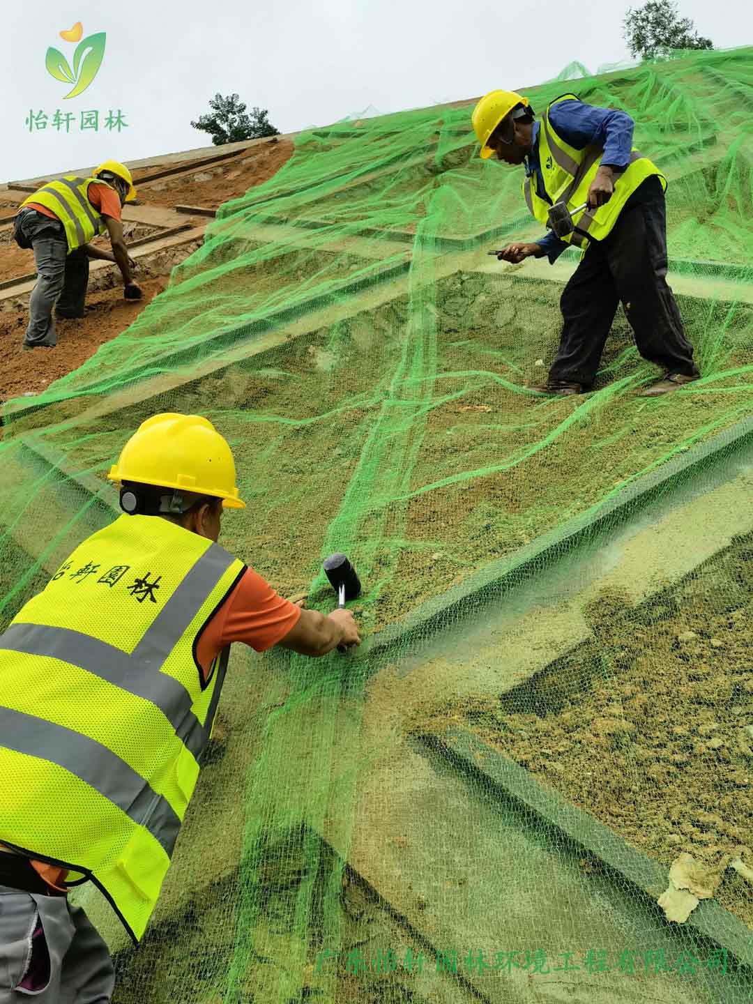 边坡绿化工程固定三维网